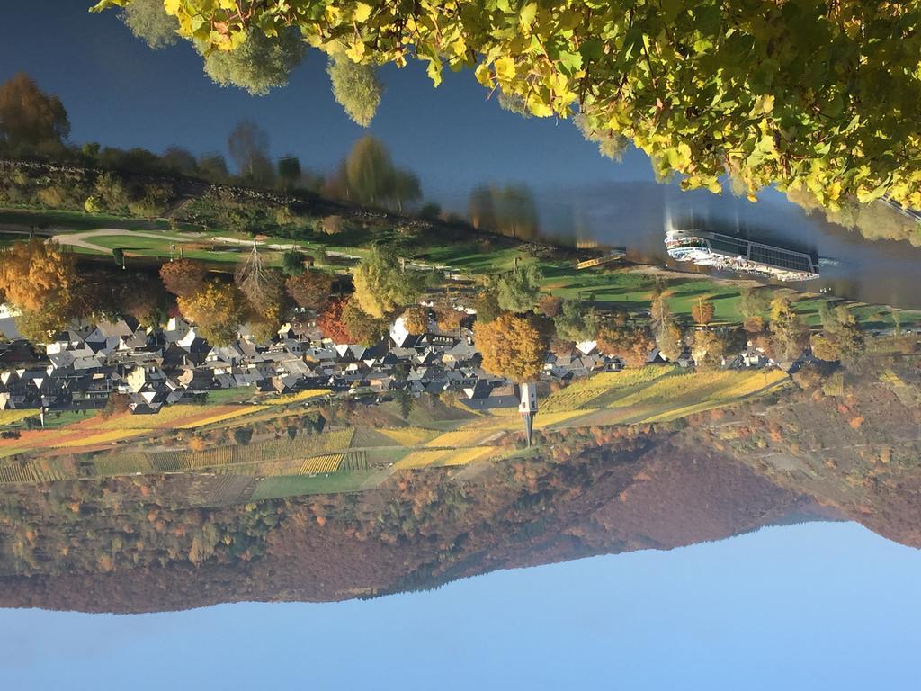 Apartment Mosel-Goetterlay Bruttig-Fankel Zewnętrze zdjęcie