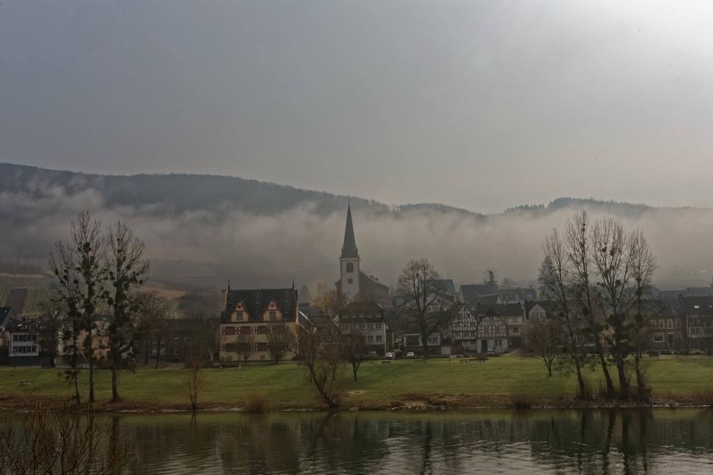 Apartment Mosel-Goetterlay Bruttig-Fankel Zewnętrze zdjęcie